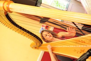 Bombay Harp 2009
